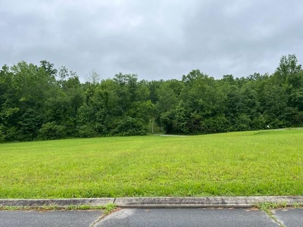 0 Frank Circle Circle, Dayton, TN 37321
