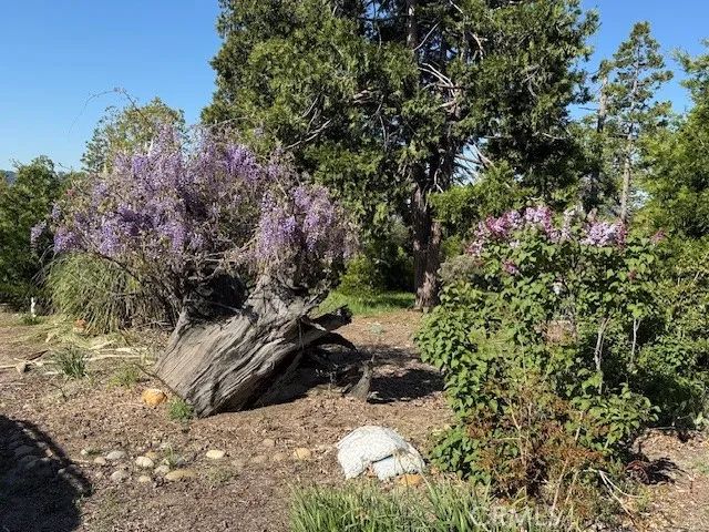 39468 Summit Drive, Oakhurst, CA 93644