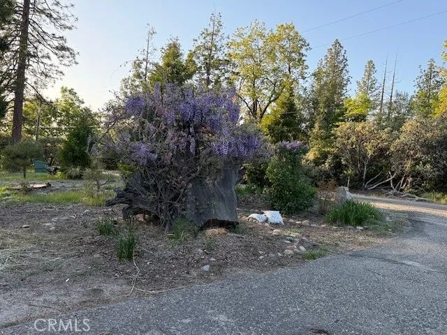 39468 Summit Drive, Oakhurst, CA 93644