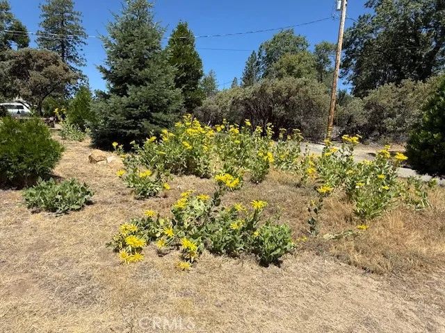 39468 Summit Drive, Oakhurst, CA 93644