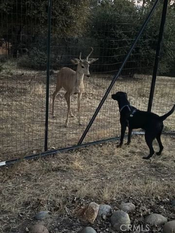 39468 Summit Drive, Oakhurst, CA 93644