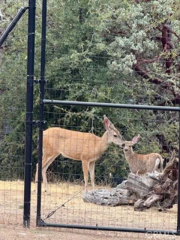 39468 Summit Drive, Oakhurst, CA 93644