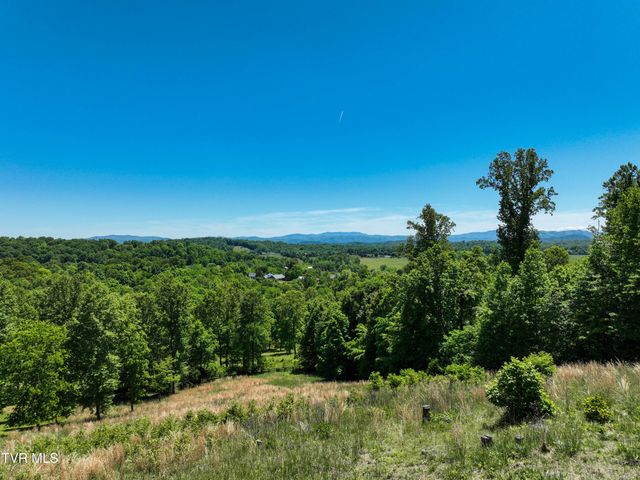152 Allison Timbers Road, Piney Flats, TN 37686