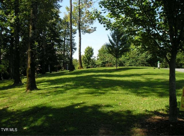 152 Allison Timbers Road, Piney Flats, TN 37686