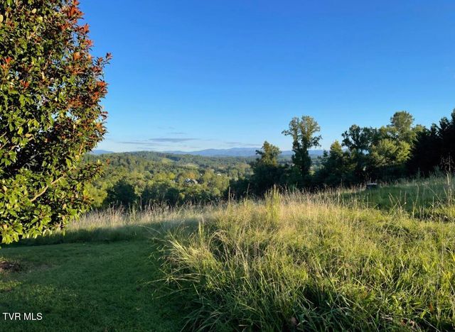 152 Allison Timbers Road, Piney Flats, TN 37686