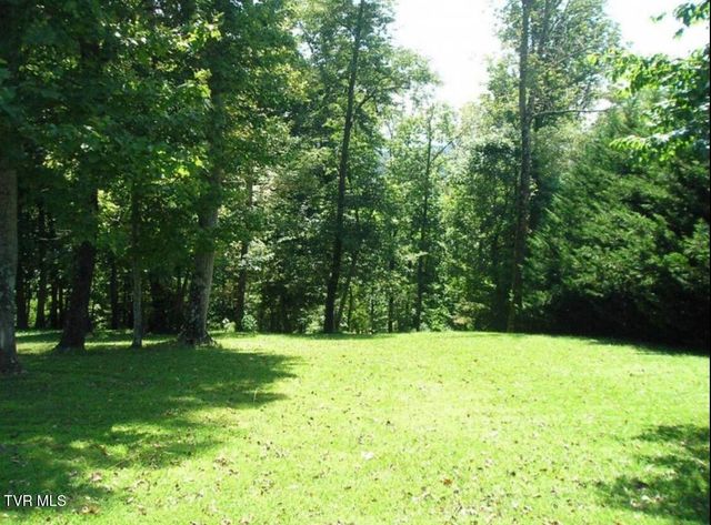 152 Allison Timbers Road, Piney Flats, TN 37686
