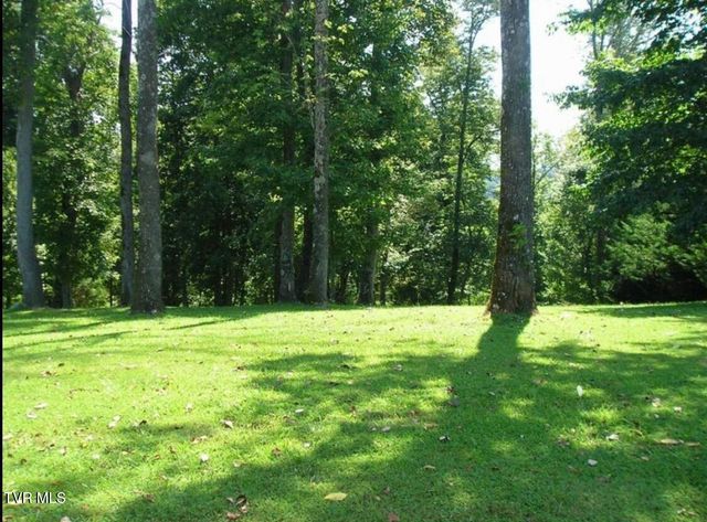 152 Allison Timbers Road, Piney Flats, TN 37686