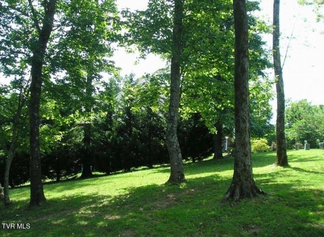 152 Allison Timbers Road, Piney Flats, TN 37686