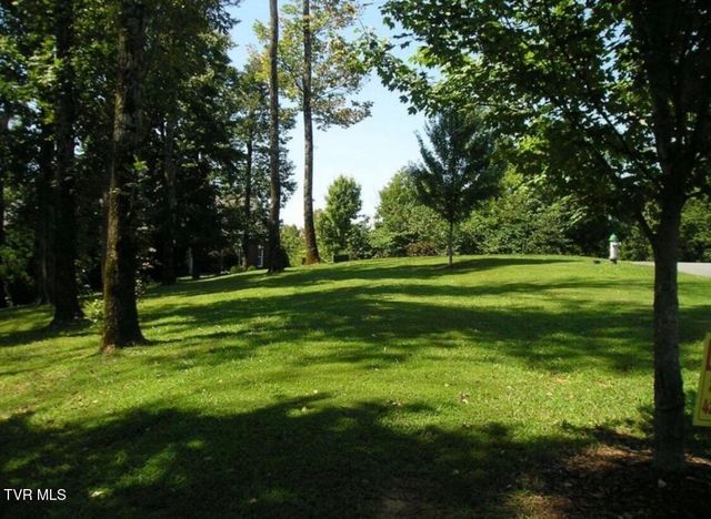 152 Allison Timbers Road, Piney Flats, TN 37686
