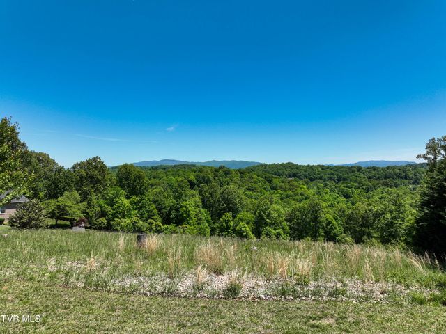 152 Allison Timbers Road, Piney Flats, TN 37686