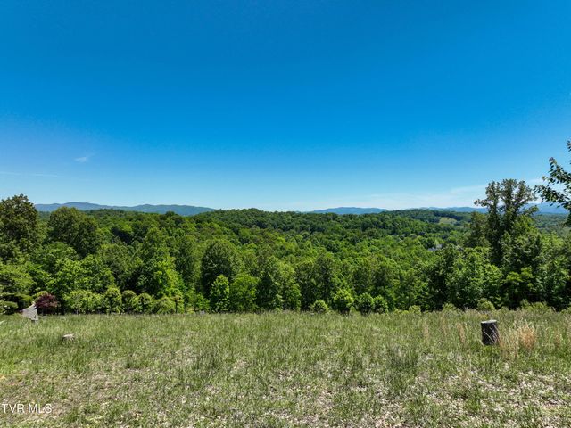 152 Allison Timbers Road, Piney Flats, TN 37686