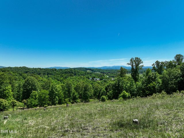 152 Allison Timbers Road, Piney Flats, TN 37686