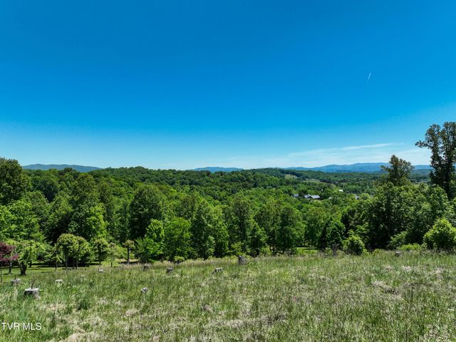 152 Allison Timbers Road, Piney Flats, TN 37686