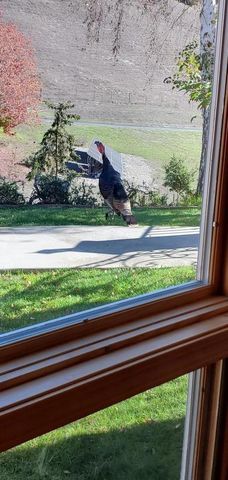 20160 Rock Springs Lane, Aromas, CA 95004