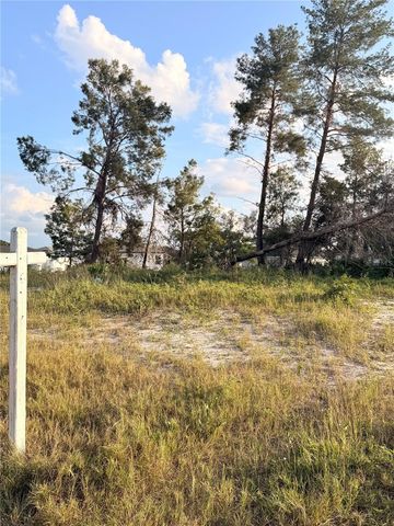 143 ZINNIA LANE W, Kissimmee, FL 34759