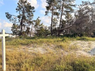 143 ZINNIA LANE W, Kissimmee, FL 34759