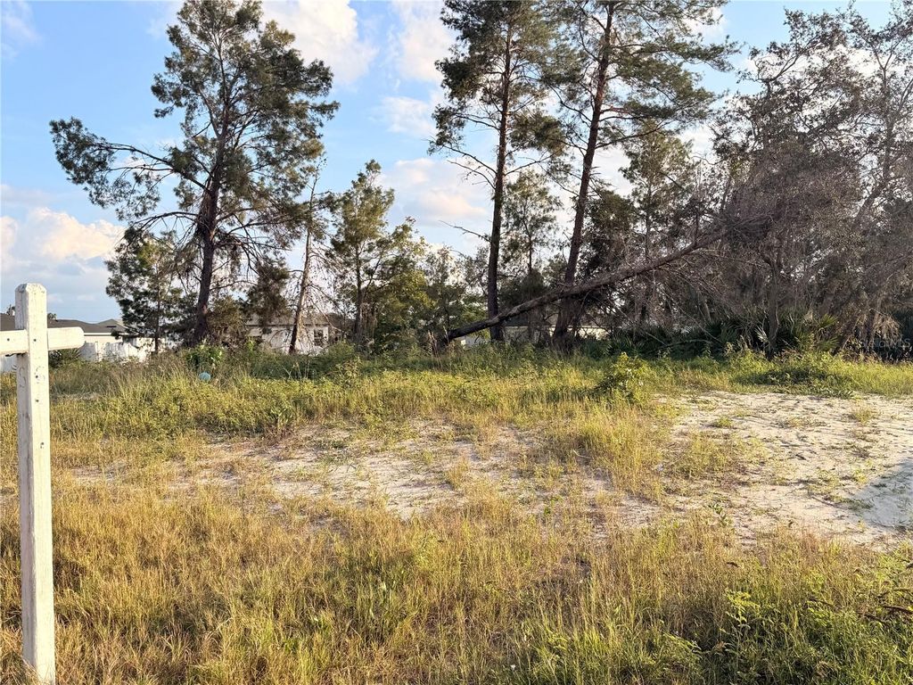 143 ZINNIA LANE W, Kissimmee, FL 34759