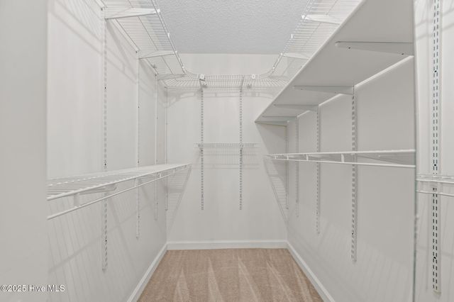 1370 Hope Drive, Greenville, NC 27858