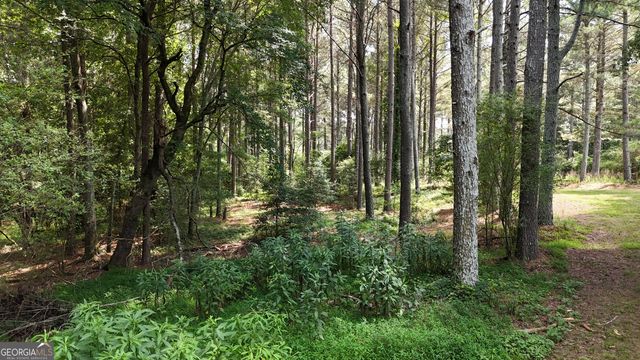 3729 Duncan Bridge Road, Cornelia, GA 30531