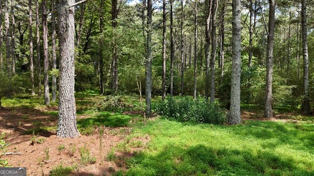 3729 Duncan Bridge Road, Cornelia, GA 30531