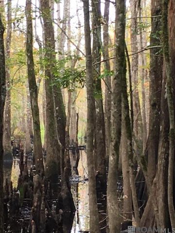 20486 La Hwy 22, Maurepas, LA 70449