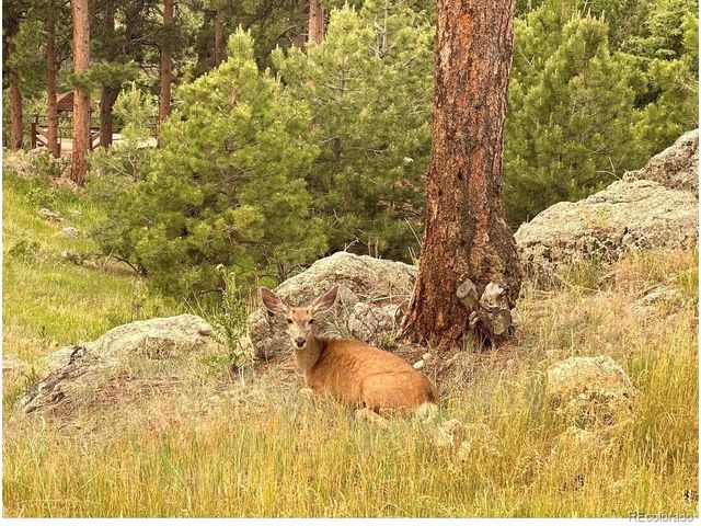 24999 Grandview Ave, Golden, CO 80401