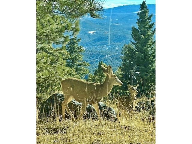 24999 Grandview Ave, Golden, CO 80401