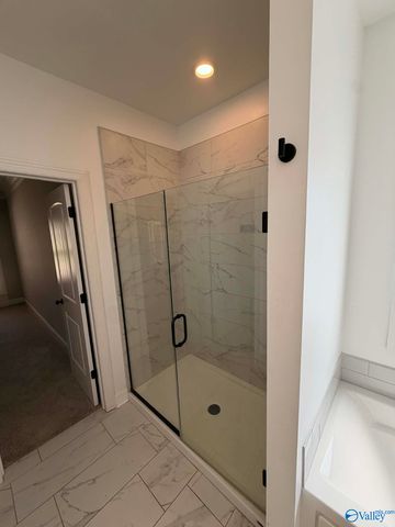 124 Talia Drive, Madison, AL 35756