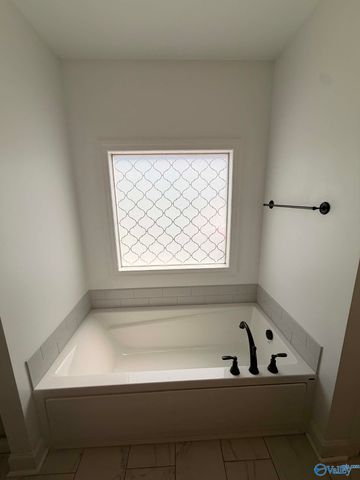 124 Talia Drive, Madison, AL 35756