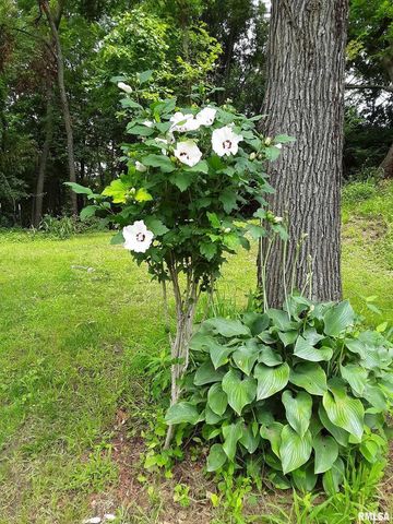 7216 VALLEY Drive, Bettendorf, IA 52722