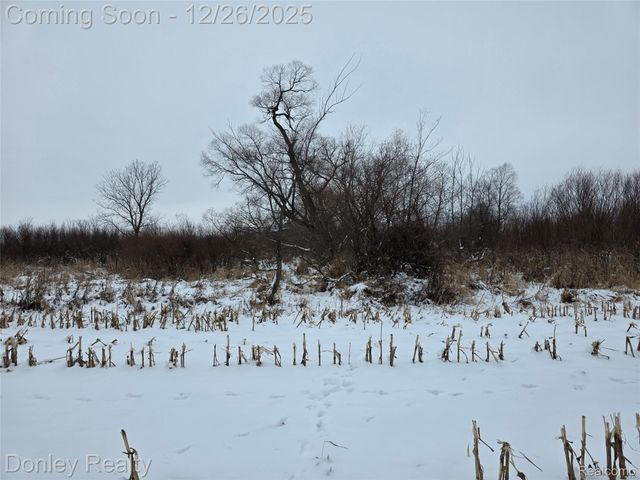 9999 Montgomery, Marlette Township, MI 48453