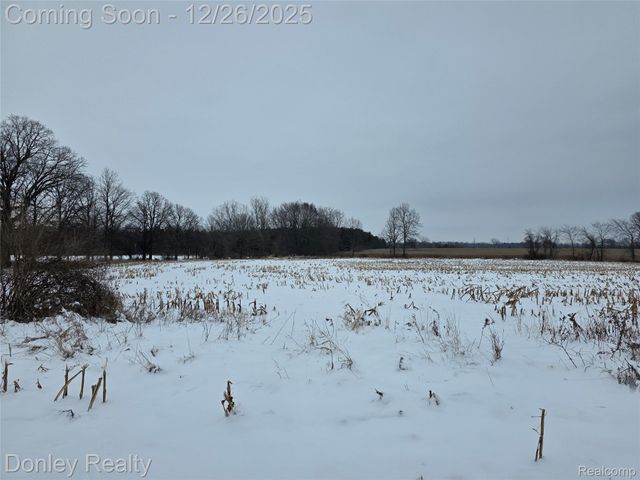 9999 Montgomery, Marlette Township, MI 48453