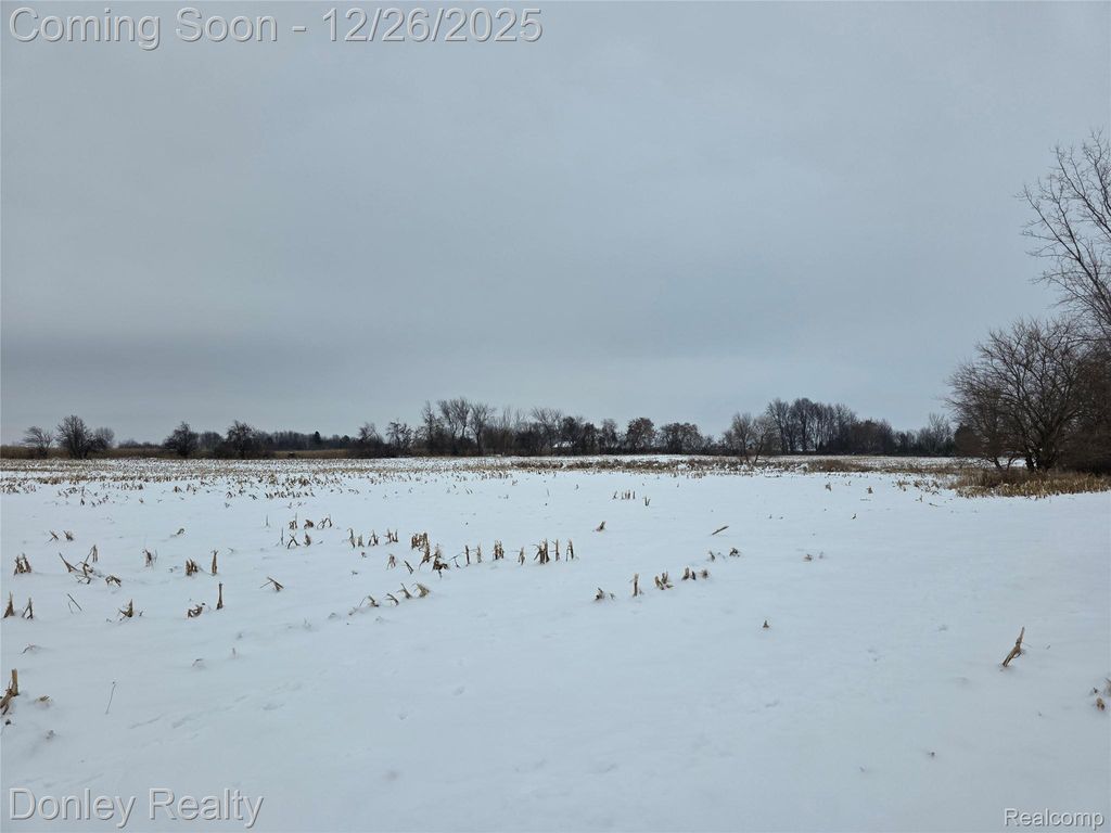 9999 Montgomery, Marlette Township, MI 48453