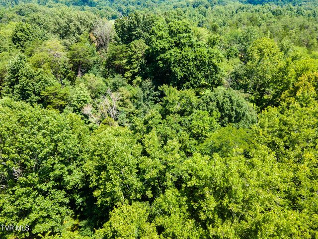 9196 Highway 11, Mooresburg, TN 37811