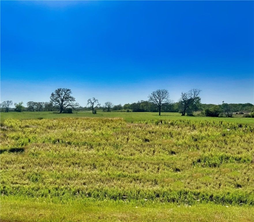 10199 Panther Creek Drive, Iola, TX 77861 — exterior