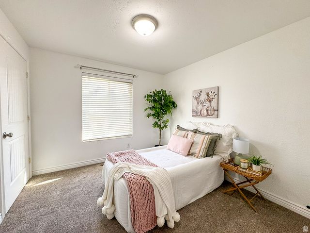 290 S 300 E, Orem, UT 84058