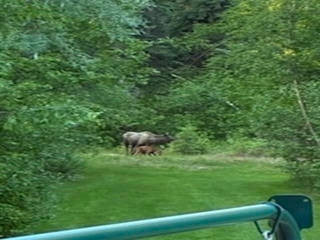 1004 BLACK BEAR TURNAROUND, North Pole, AK 99705