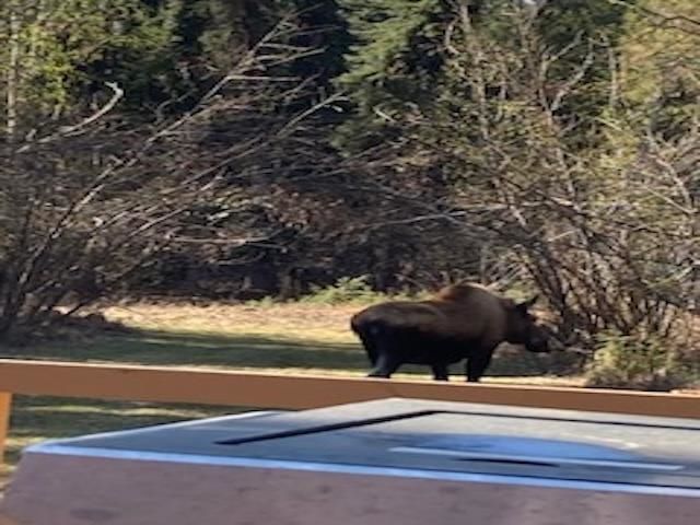 1004 BLACK BEAR TURNAROUND, North Pole, AK 99705
