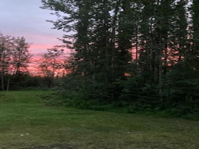 1004 BLACK BEAR TURNAROUND, North Pole, AK 99705