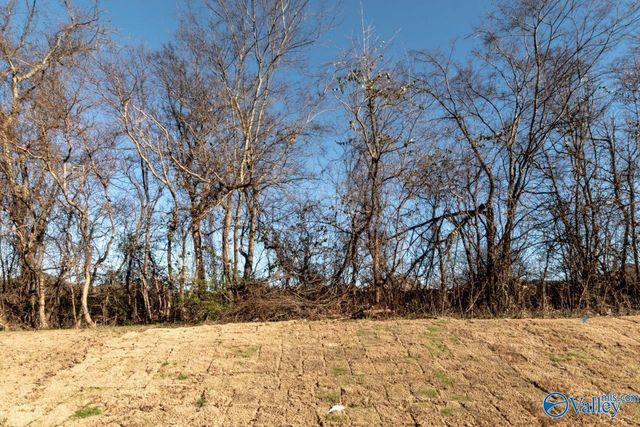 153 Rosemary Ayers Drive, Madison, AL 35756