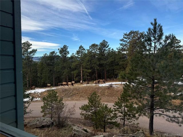 1624 Tamarac Dr, Golden, CO 80401