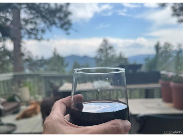 1624 Tamarac Dr, Golden, CO 80401