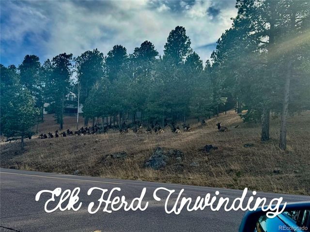 1624 Tamarac Dr, Golden, CO 80401