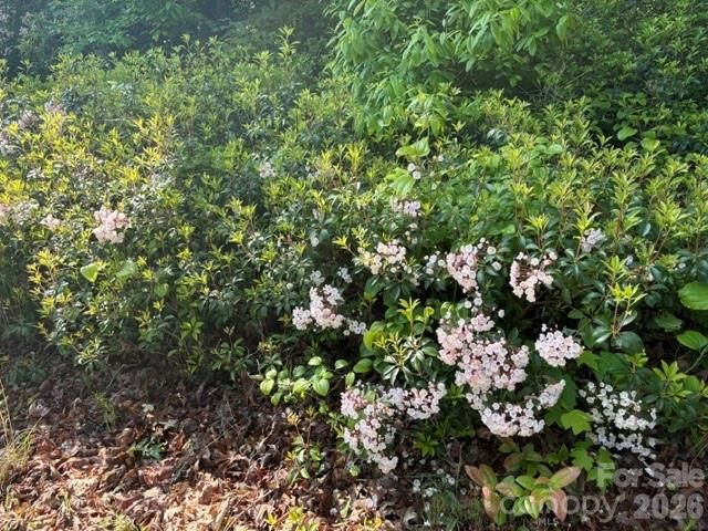 000 Gettys Road, Ellenboro, NC 28040