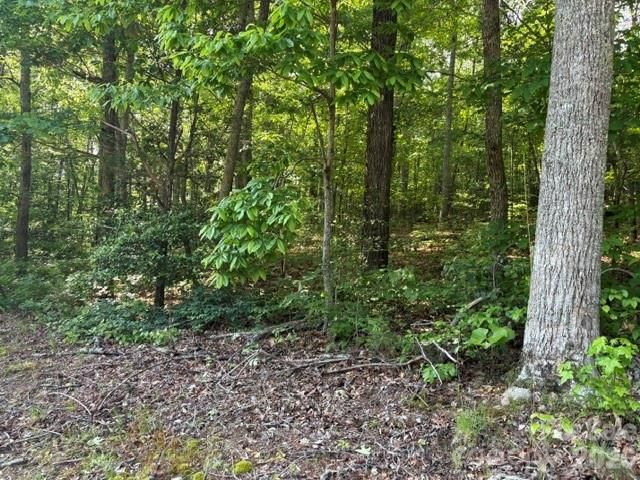 000 Gettys Road, Ellenboro, NC 28040