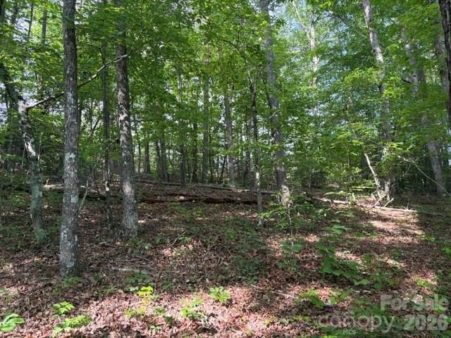 000 Gettys Road, Ellenboro, NC 28040