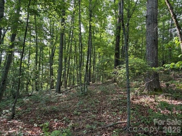 000 Gettys Road, Ellenboro, NC 28040