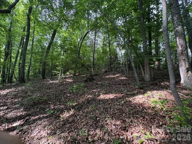 000 Gettys Road, Ellenboro, NC 28040