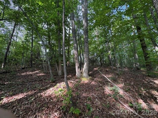 000 Gettys Road, Ellenboro, NC 28040