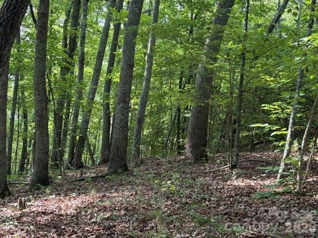 000 Gettys Road, Ellenboro, NC 28040